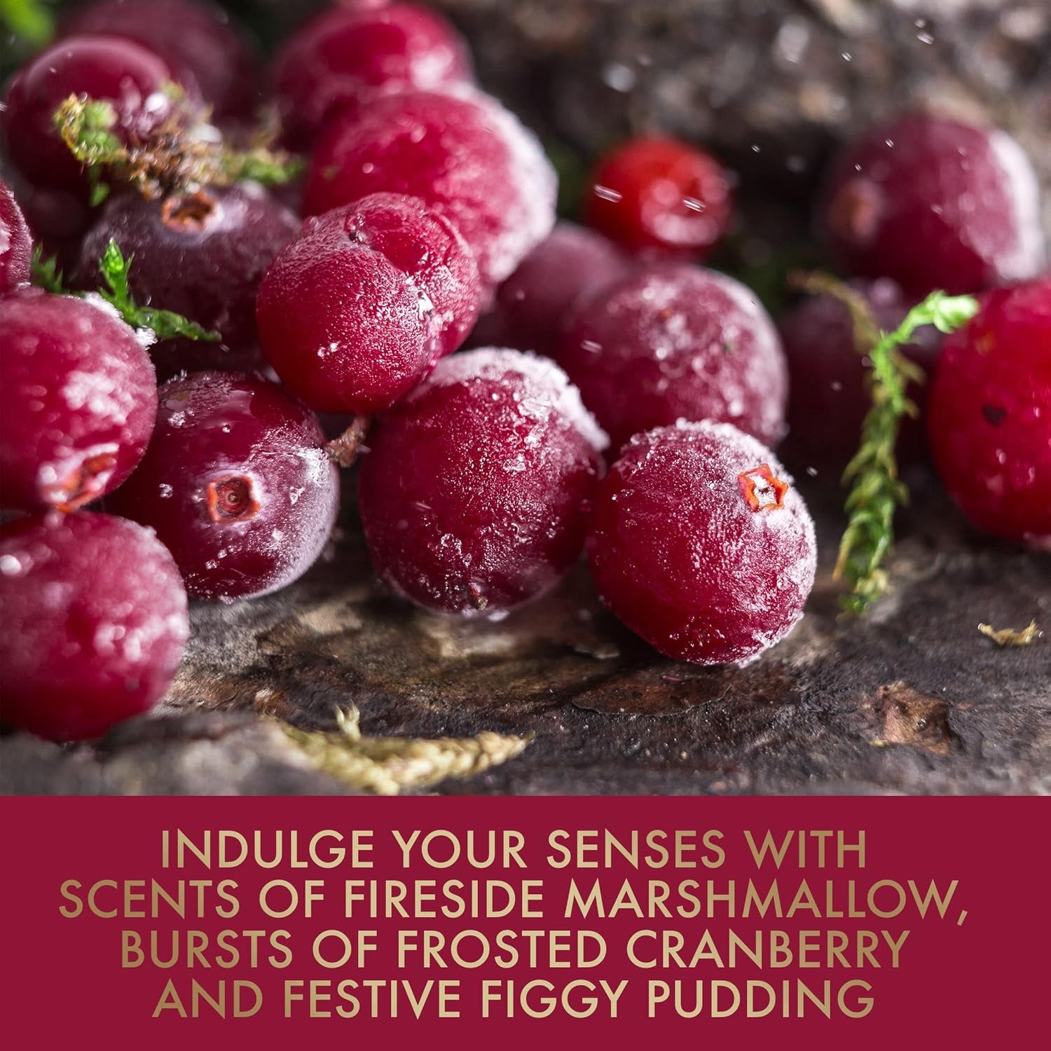 the Fuzzy Duck Winter Wonderland Coffret Cadeau De Luxe (1 Pièce) – Convient Aux Végétaliens